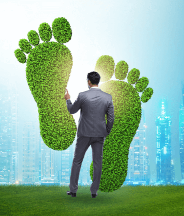 sustainability reporting