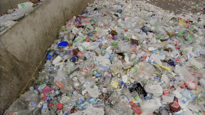 Environment Consultancy Services